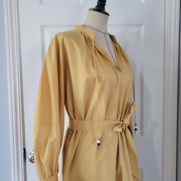 Boss Dapera Poplin Sheath Dress - Picture 7 of 11